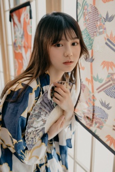 理论片